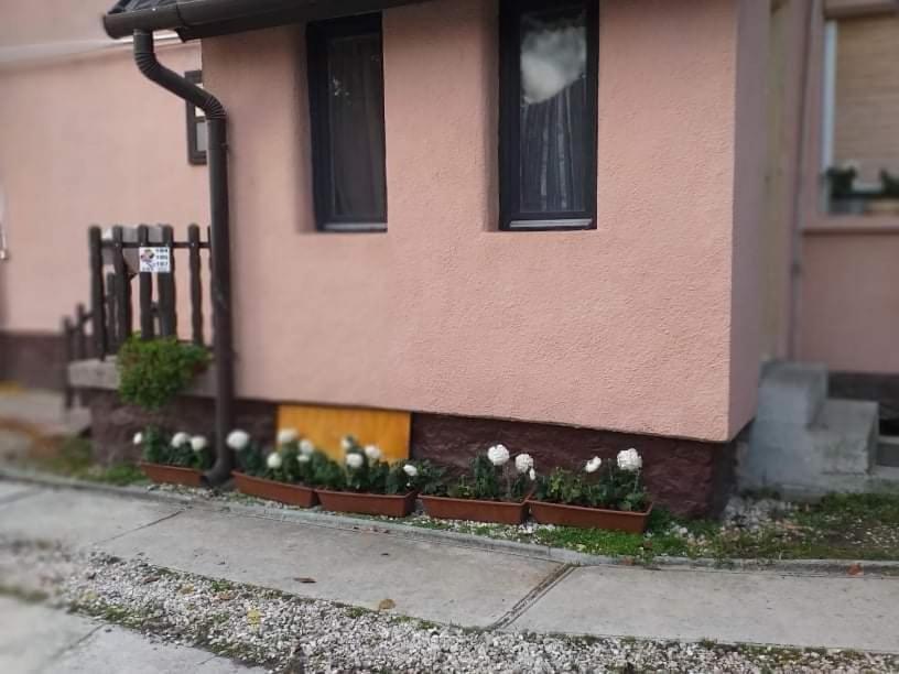 Pihenes A Malomtonal Privat Berlemeny Tapolca Exterior foto